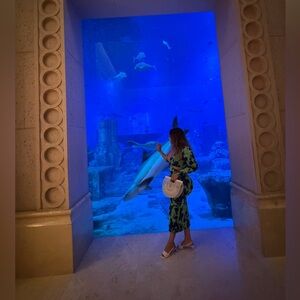 Meet your Posher, Xochitl